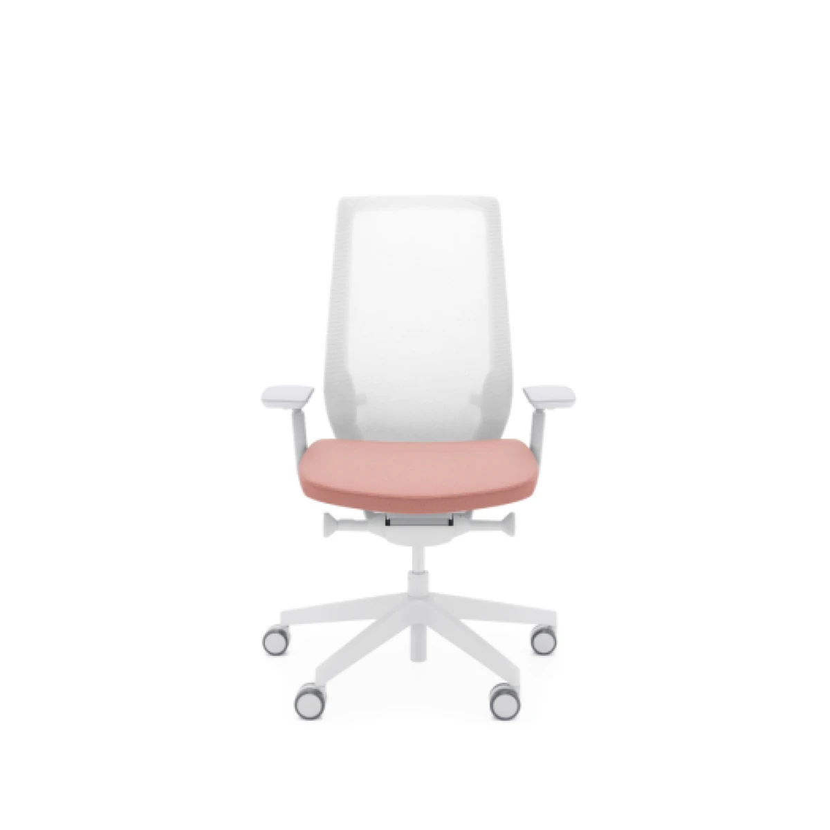 Accis Pro - Image 1