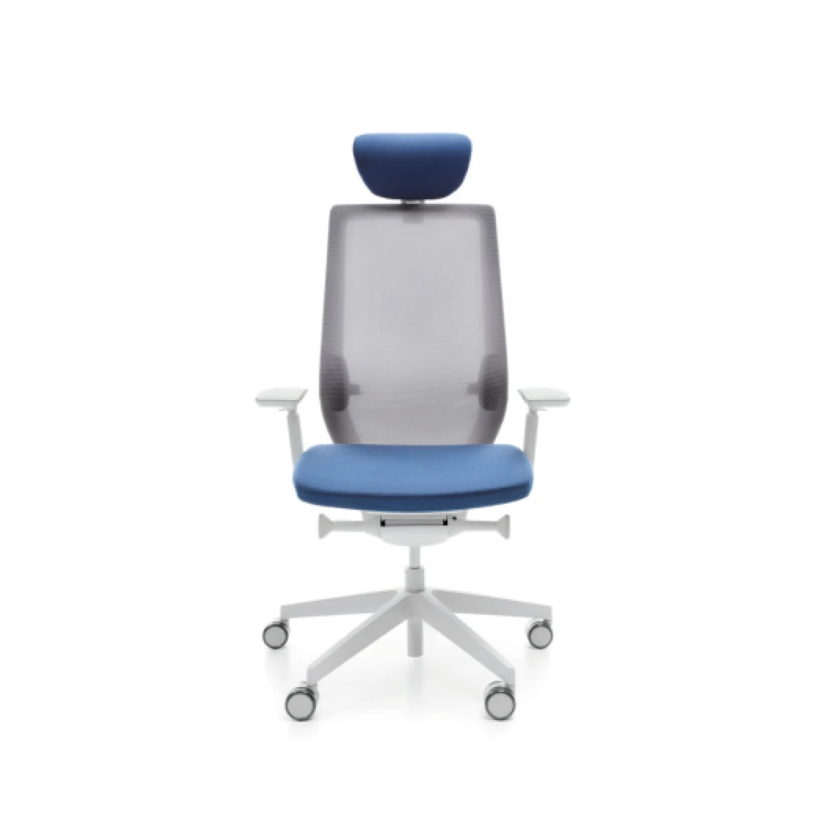 Accis Pro - Image 2