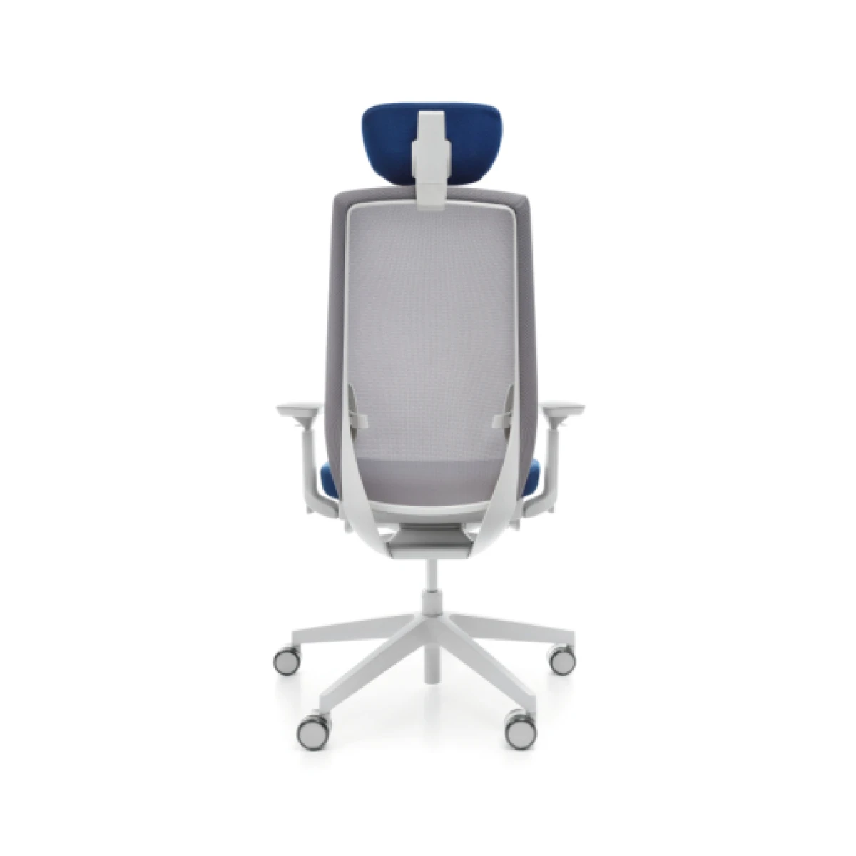Accis Pro - Image 6