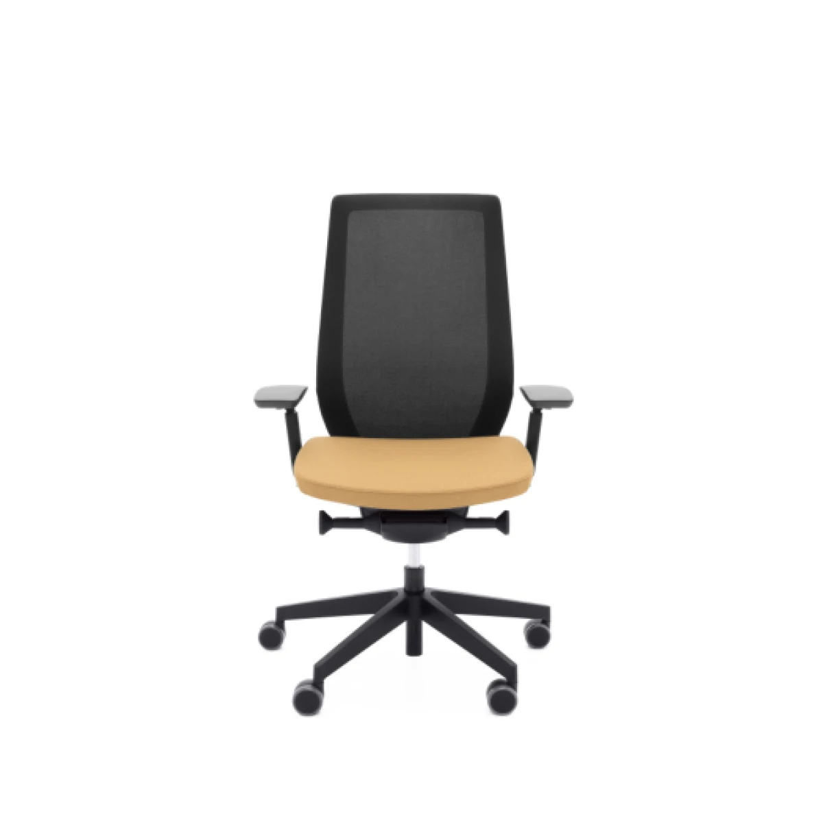 Accis Pro - Image 4