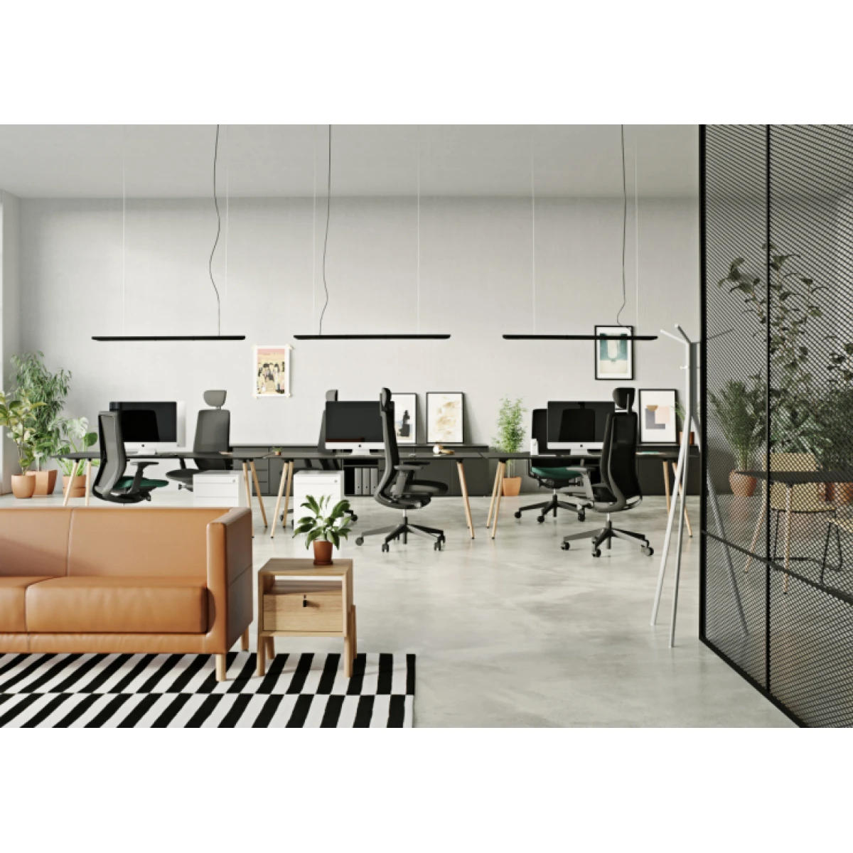 Accis Pro - Image 8
