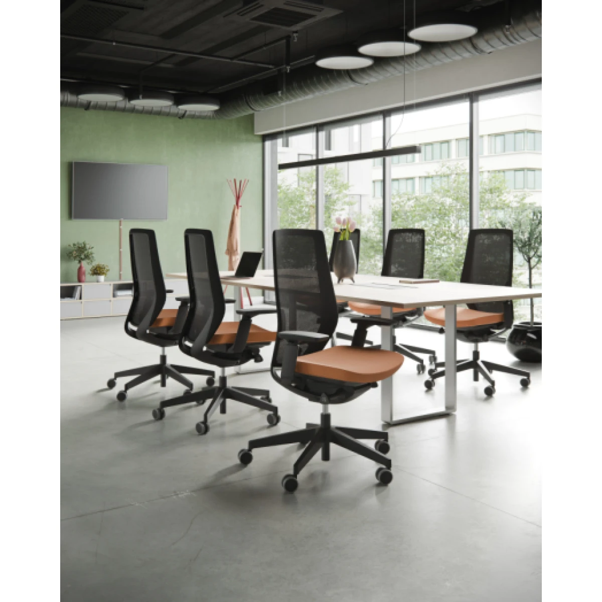 Accis Pro - Image 12