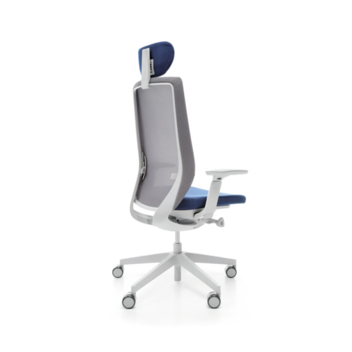 Accis Pro - Image 3