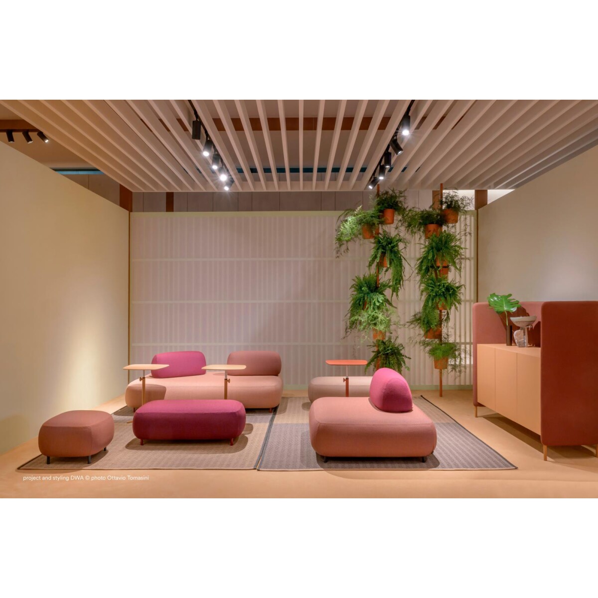 Diego - Image 6